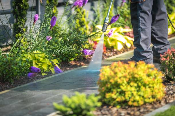 Best Parking Lot and Garage Cleaning  in Lincolnton, GA